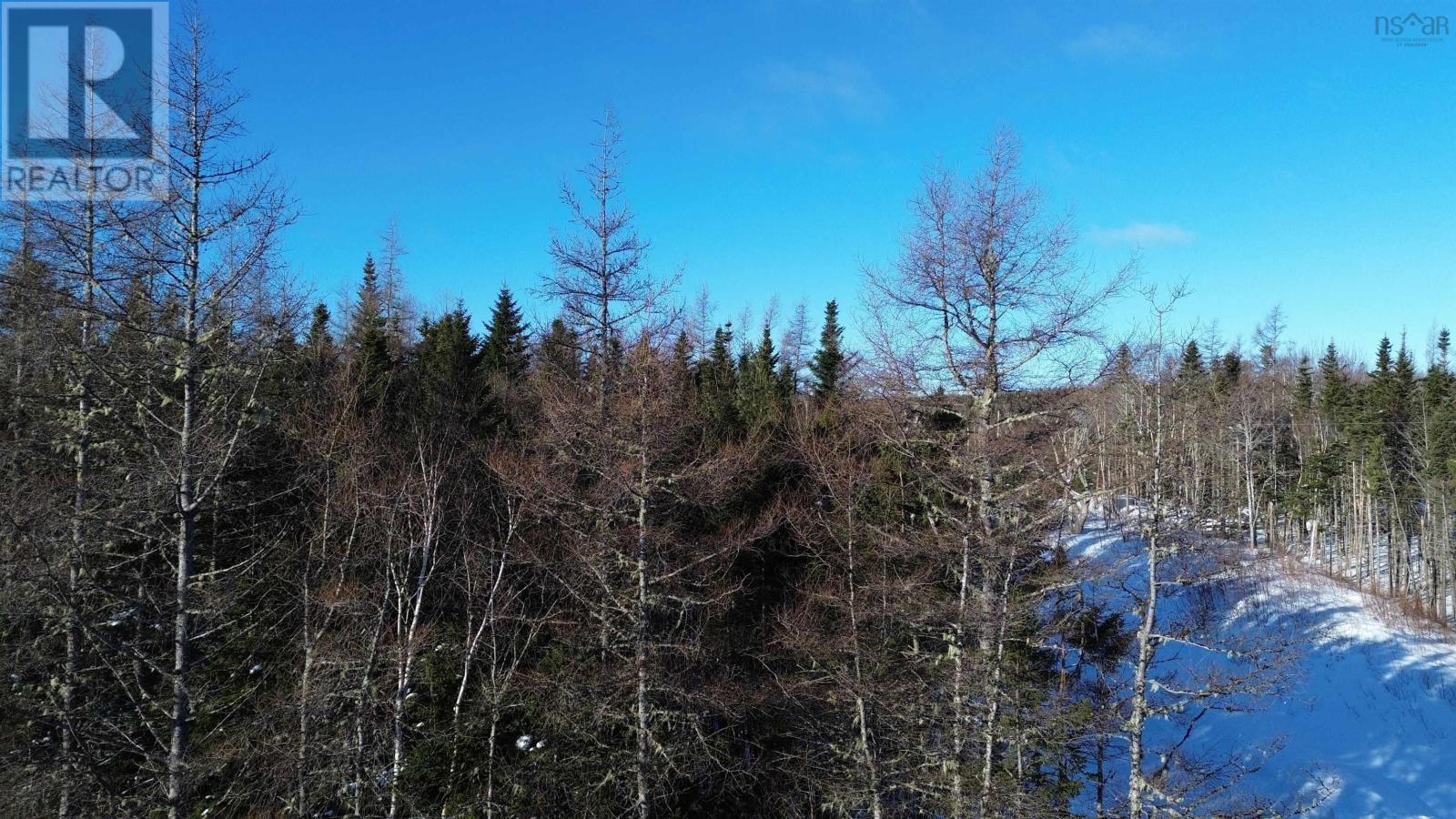 Lot 13 Lower River Road, Grantville, Nova Scotia  B0E 1J0 - Photo 6 - 202603137