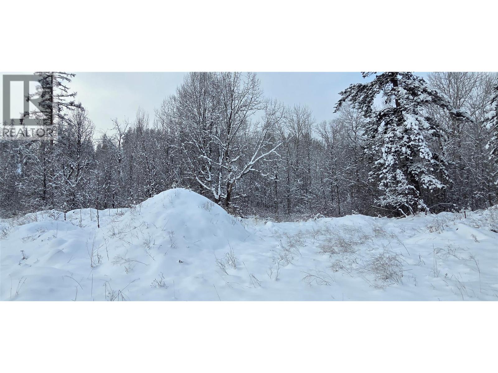 101 304th Avenue, Kimberley, British Columbia  V1A 3G5 - Photo 3 - 10376093