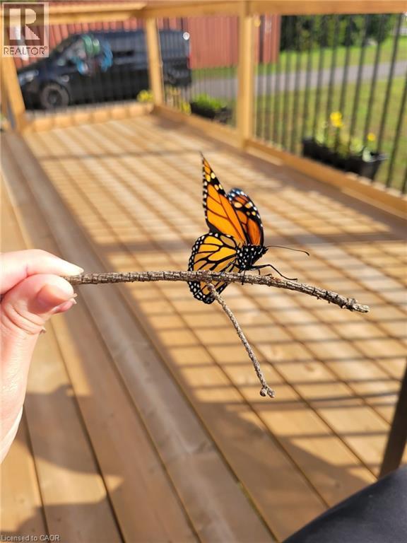 837 Fertilizer Road, Simcoe, Ontario  N3Y 4K6 - Photo 40 - 40806404