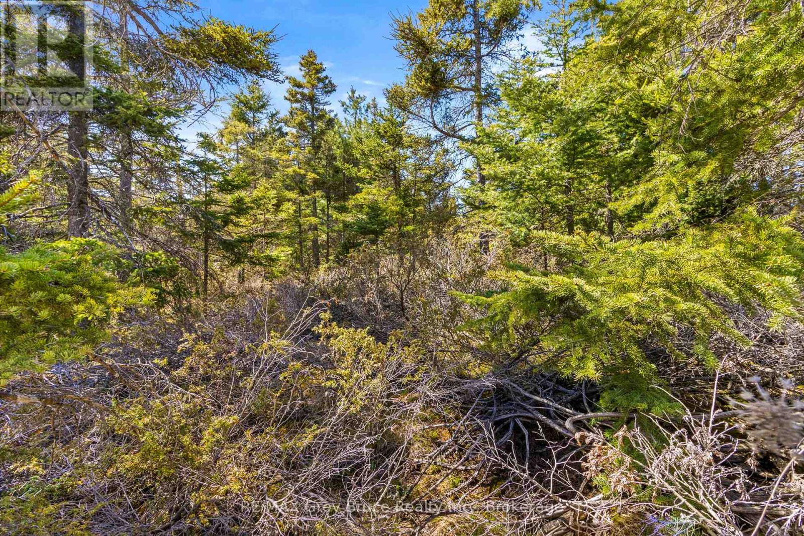 Pt Fm Lt 4 Chi Sin Tib Dek Road, Northern Bruce Peninsula, Ontario  N0H 2R0 - Photo 15 - X12806308