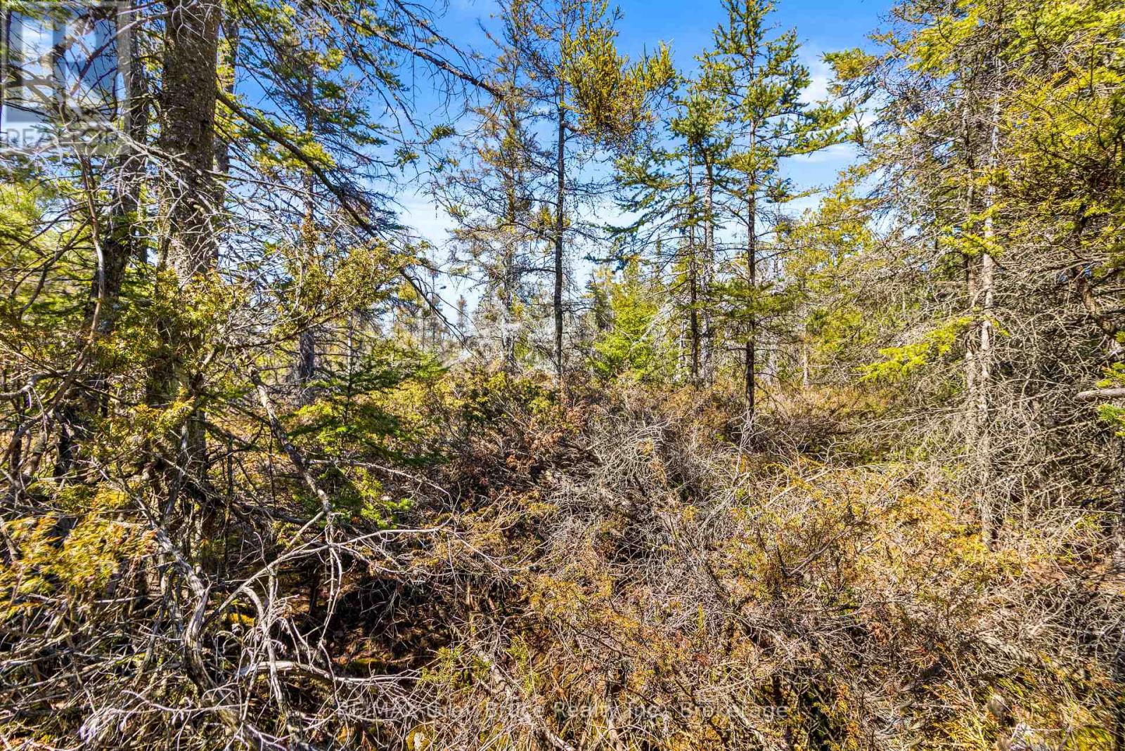 Pt Fm Lt 4 Chi Sin Tib Dek Road, Northern Bruce Peninsula, Ontario  N0H 2R0 - Photo 18 - X12806308