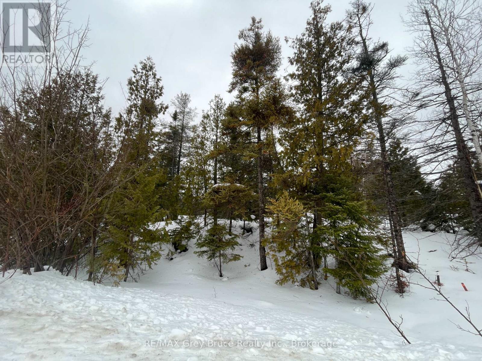 Pt Fm Lt 4 Chi Sin Tib Dek Road, Northern Bruce Peninsula, Ontario  N0H 2R0 - Photo 7 - X12806308