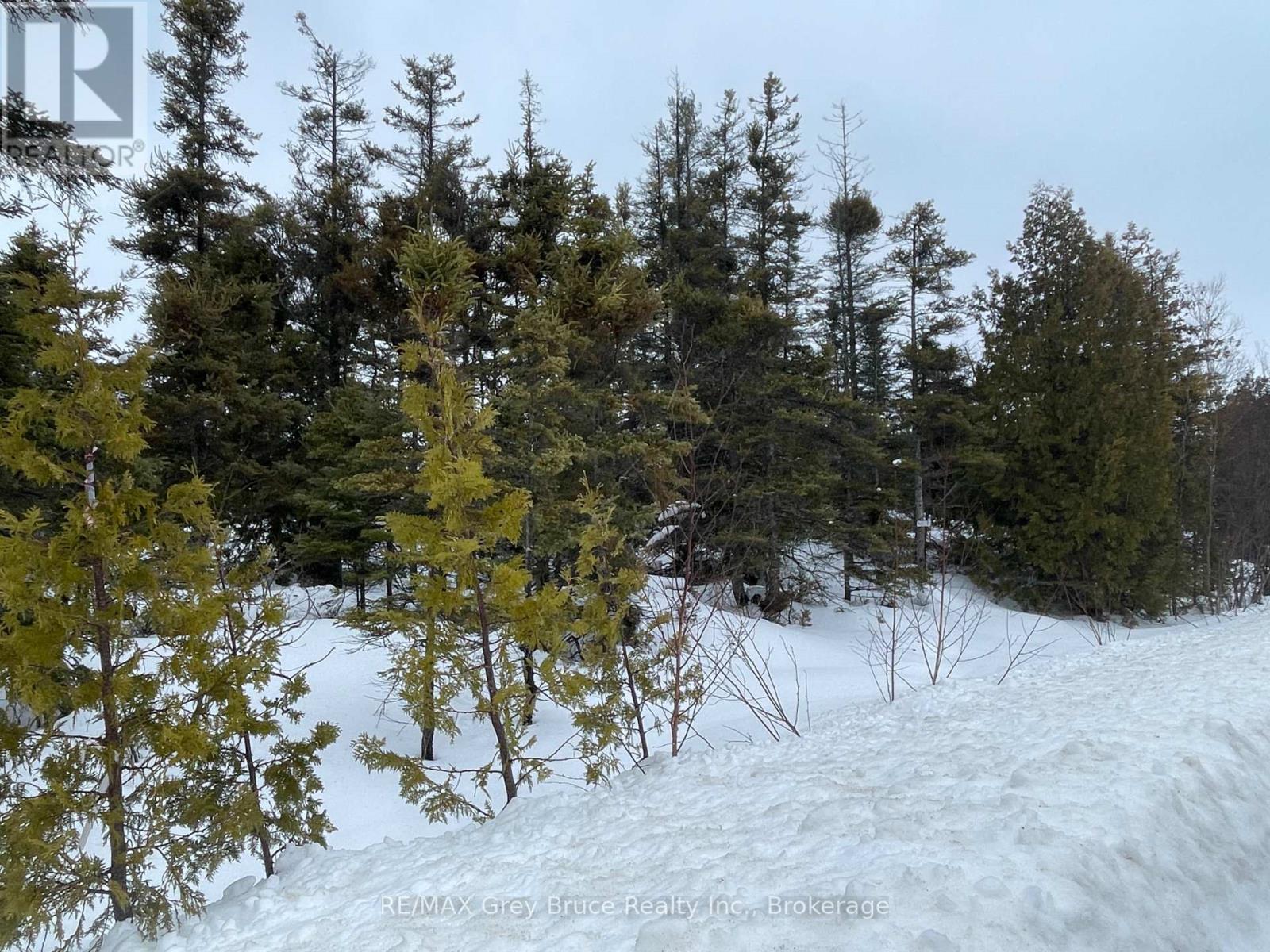 Pt Fm Lt 4 Chi Sin Tib Dek Road, Northern Bruce Peninsula, Ontario  N0H 2R0 - Photo 8 - X12806308