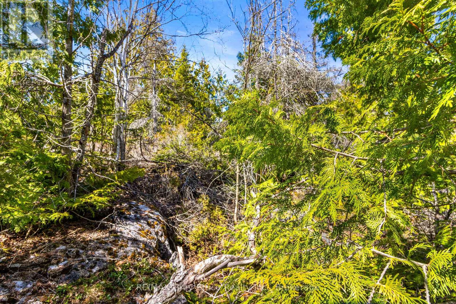 Pt Farm Lt 4 Chi Sin Tib Dek Road, Northern Bruce Peninsula, Ontario  N0H 2R0 - Photo 17 - X12806340
