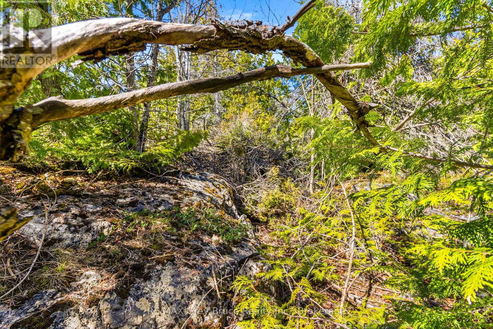 Pt Farm Lt 4 Chi Sin Tib Dek Road, Northern Bruce Peninsula, Ontario  N0H 2R0 - Photo 18 - X12806340