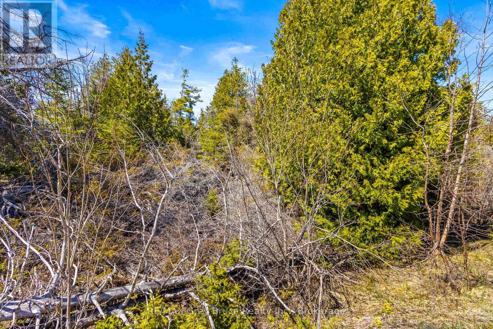 Pt Farm Lt 4 Chi Sin Tib Dek Road, Northern Bruce Peninsula, Ontario  N0H 2R0 - Photo 19 - X12806340