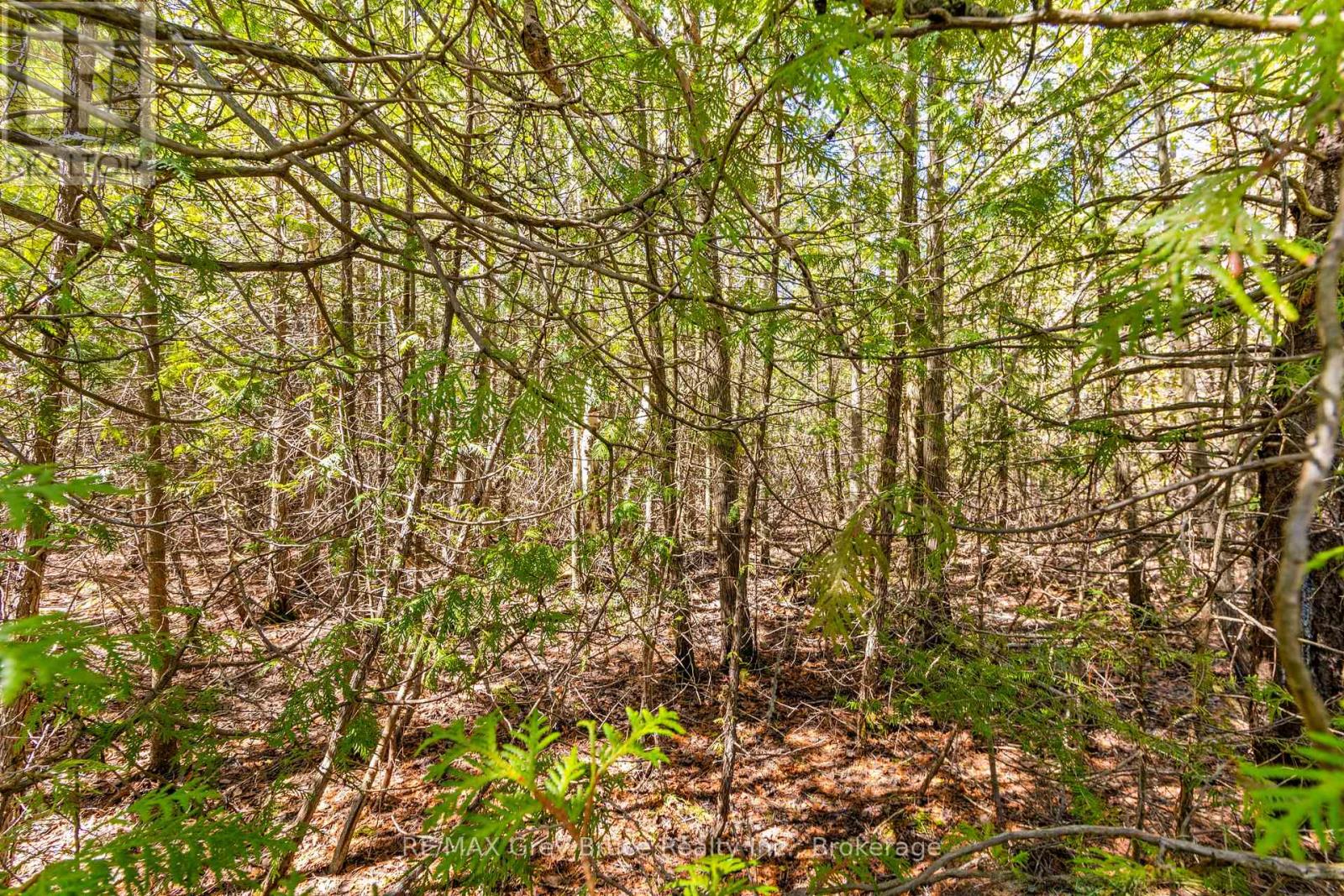 Part Fm Lot 4 Chi Sin Tib Dek Road, Northern Bruce Peninsula, Ontario  N0H 2R0 - Photo 16 - X12806386
