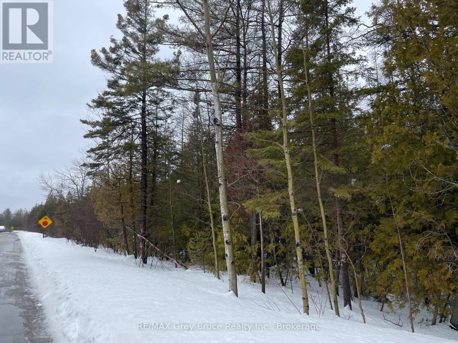 Part Fm Lot 4 Chi Sin Tib Dek Road, Northern Bruce Peninsula, Ontario  N0H 2R0 - Photo 3 - X12806386