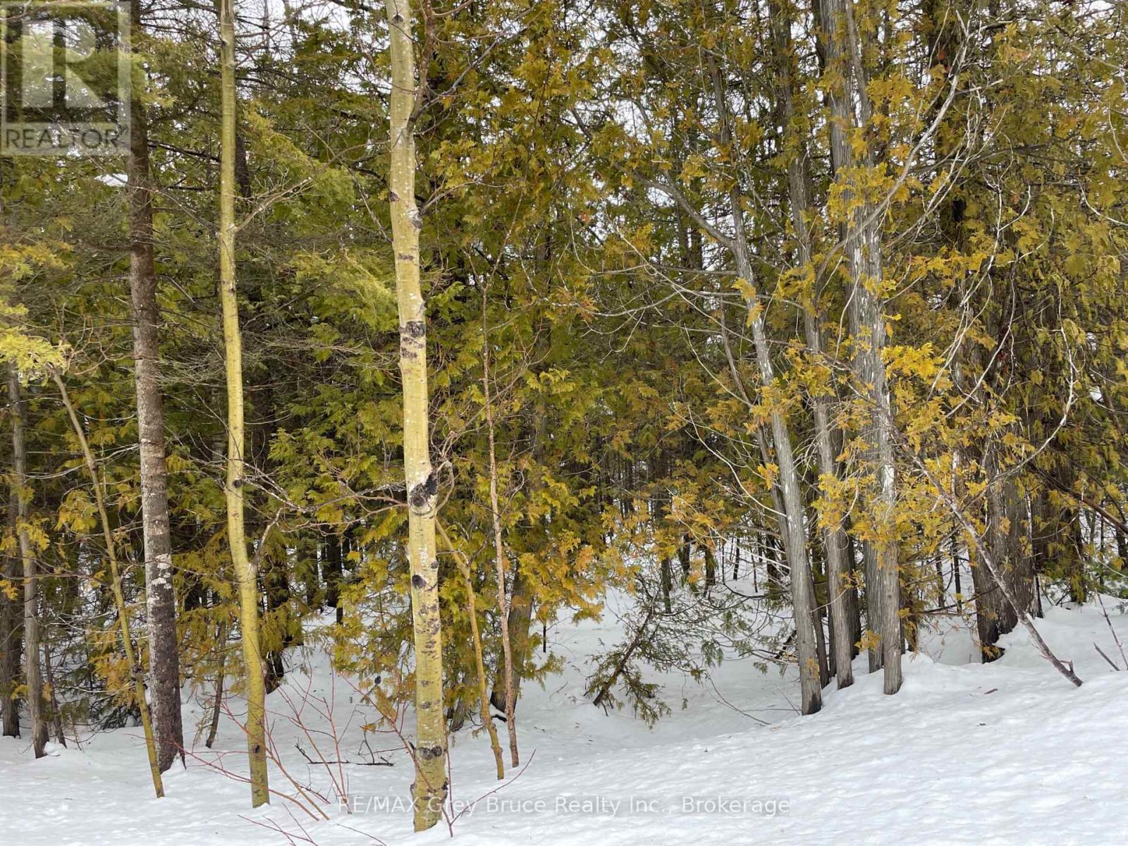 Part Fm Lot 4 Chi Sin Tib Dek Road, Northern Bruce Peninsula, Ontario  N0H 2R0 - Photo 4 - X12806386