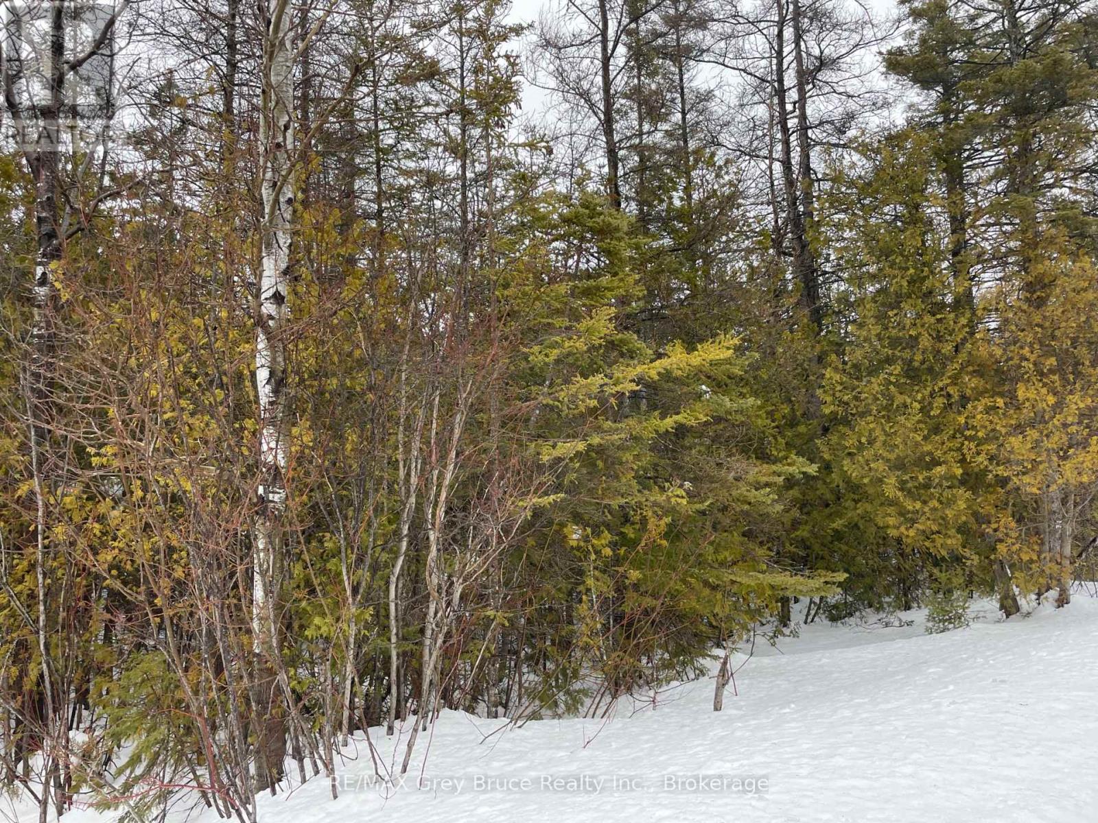 Part Fm Lot 4 Chi Sin Tib Dek Road, Northern Bruce Peninsula, Ontario  N0H 2R0 - Photo 5 - X12806386