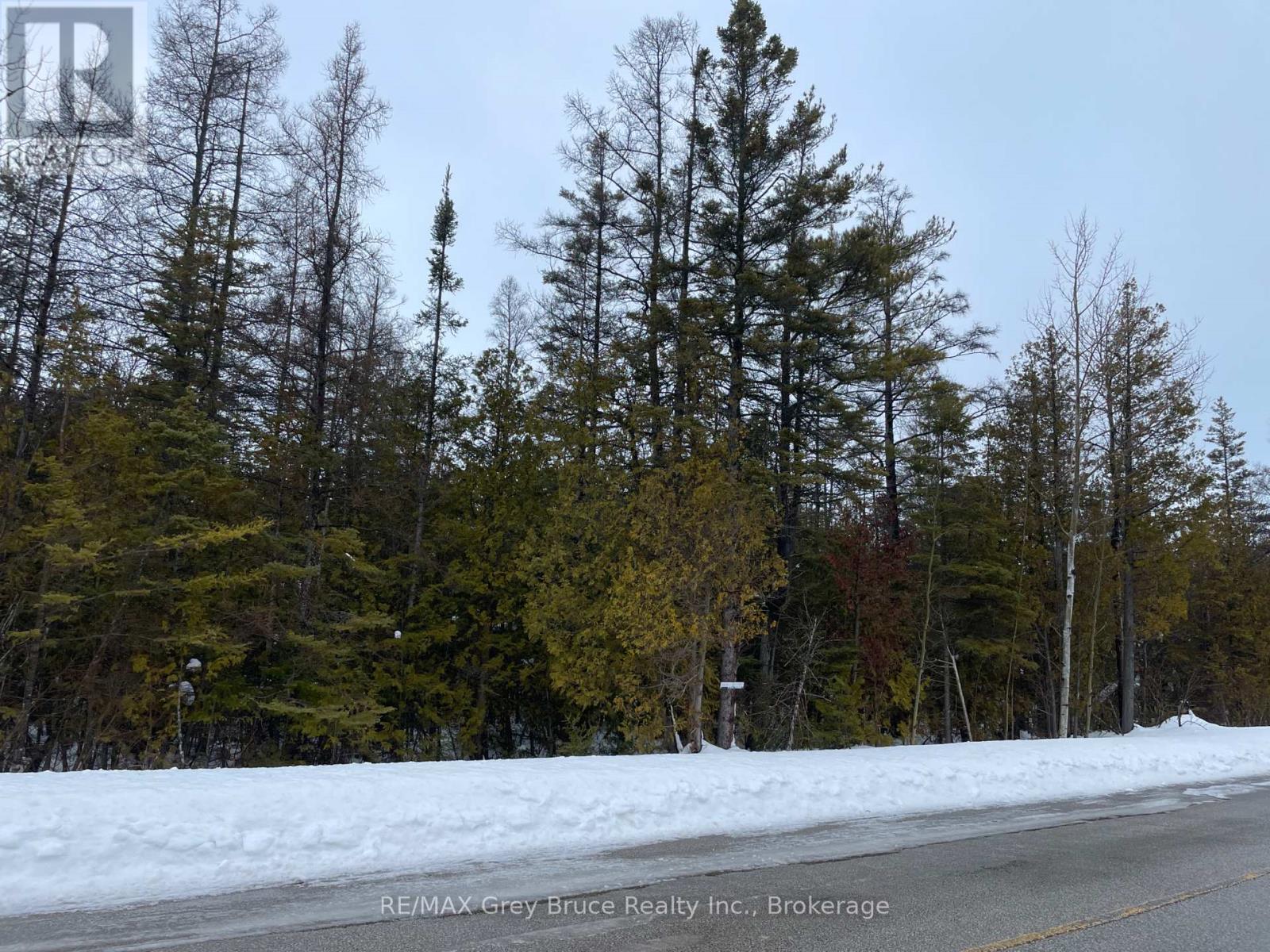 Part Fm Lot 4 Chi Sin Tib Dek Road, Northern Bruce Peninsula, Ontario  N0H 2R0 - Photo 7 - X12806386