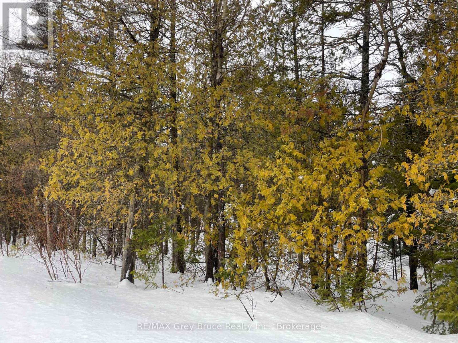 Pt Farm Lot 4 Chi Sin Tib Dek Road, Northern Bruce Peninsula, Ontario  N0H 2R0 - Photo 7 - X12806434