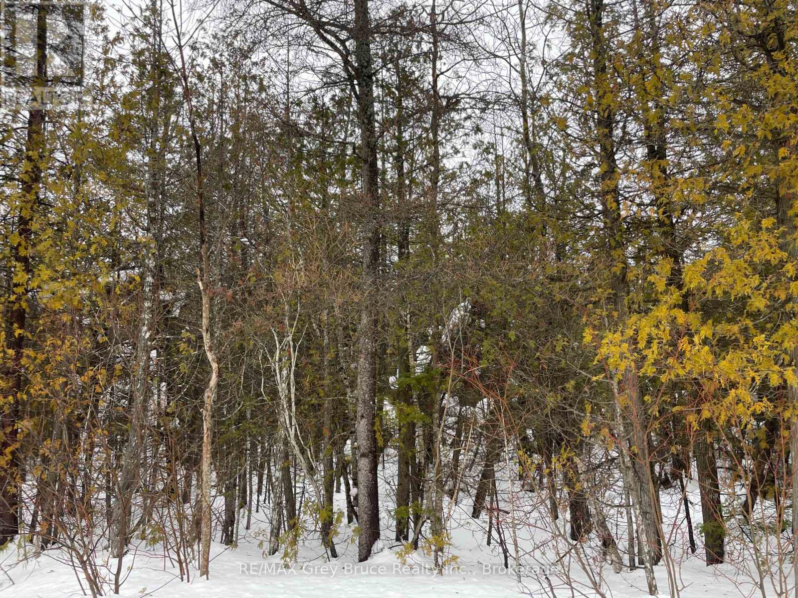 Pt Farm Lot 4 Chi Sin Tib Dek Road, Northern Bruce Peninsula, Ontario  N0H 2R0 - Photo 8 - X12806434