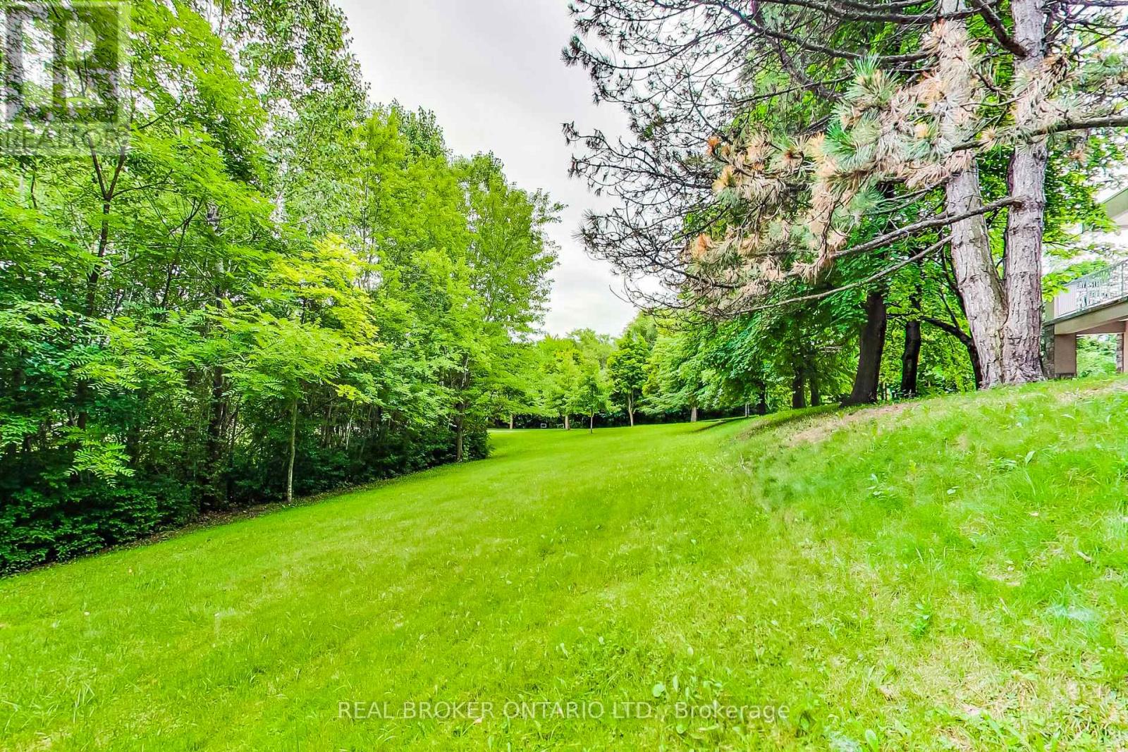 48 Silvergrove Road, Toronto, Ontario  M2L 2N6 - Photo 28 - C12803436