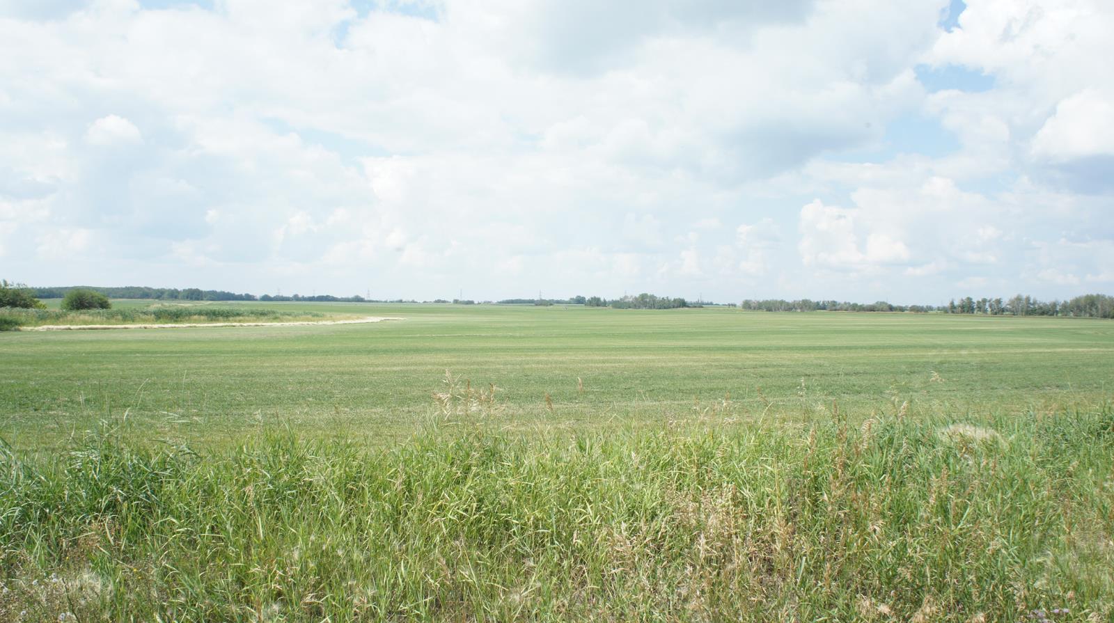 R.rd 222, Sturgeon County, Alberta  T0A 1N1 - Photo 19 - 44142537