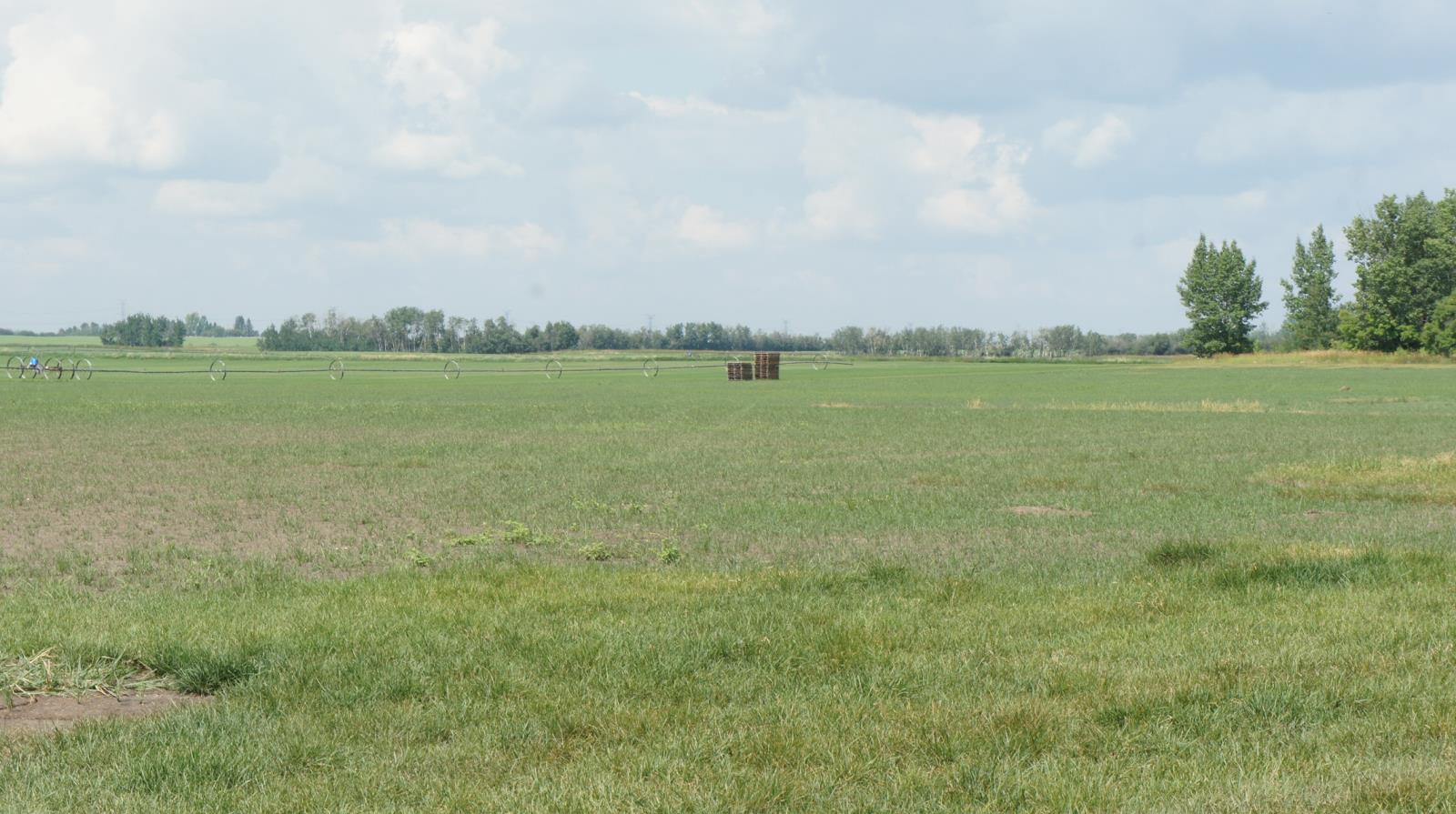R.rd 222, Sturgeon County, Alberta  T0A 1N1 - Photo 20 - 44142537