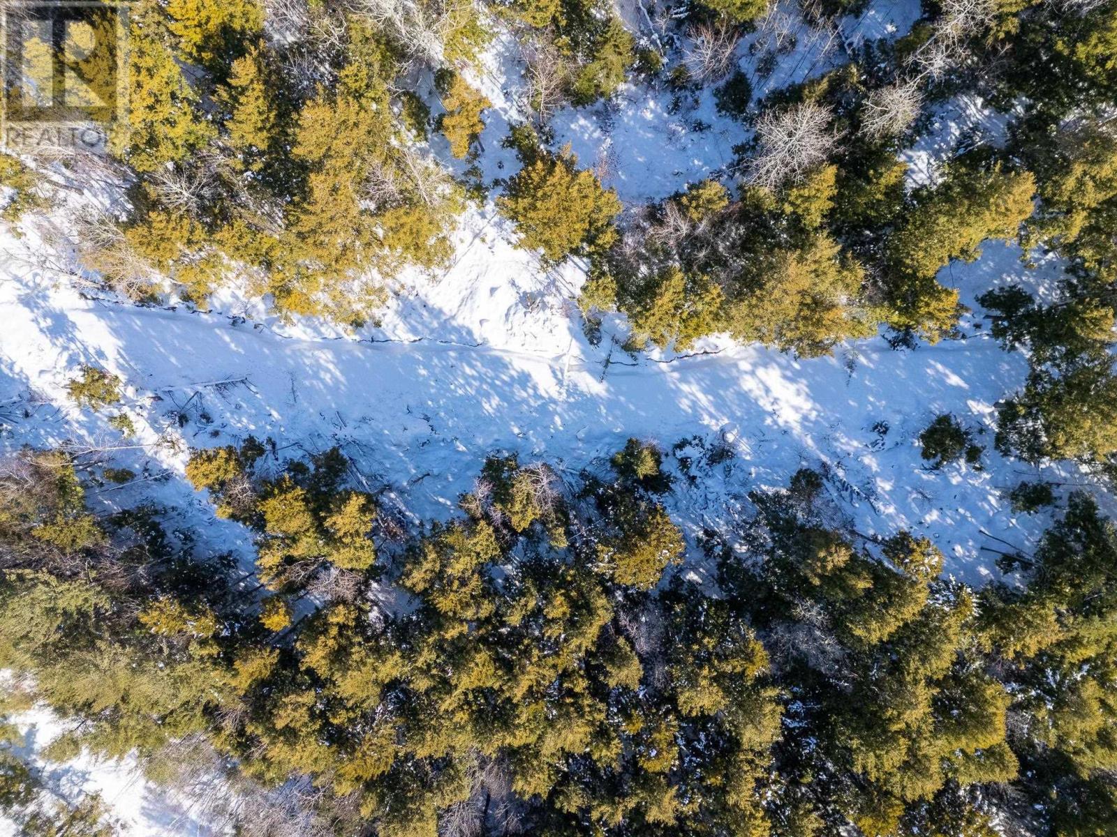 Highway 14 Highway, Mill Section, Nova Scotia  B0N 0B9 - Photo 20 - 202603150