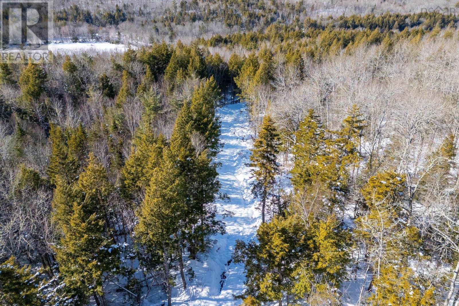 Highway 14 Highway, Mill Section, Nova Scotia  B0N 0B9 - Photo 28 - 202603150