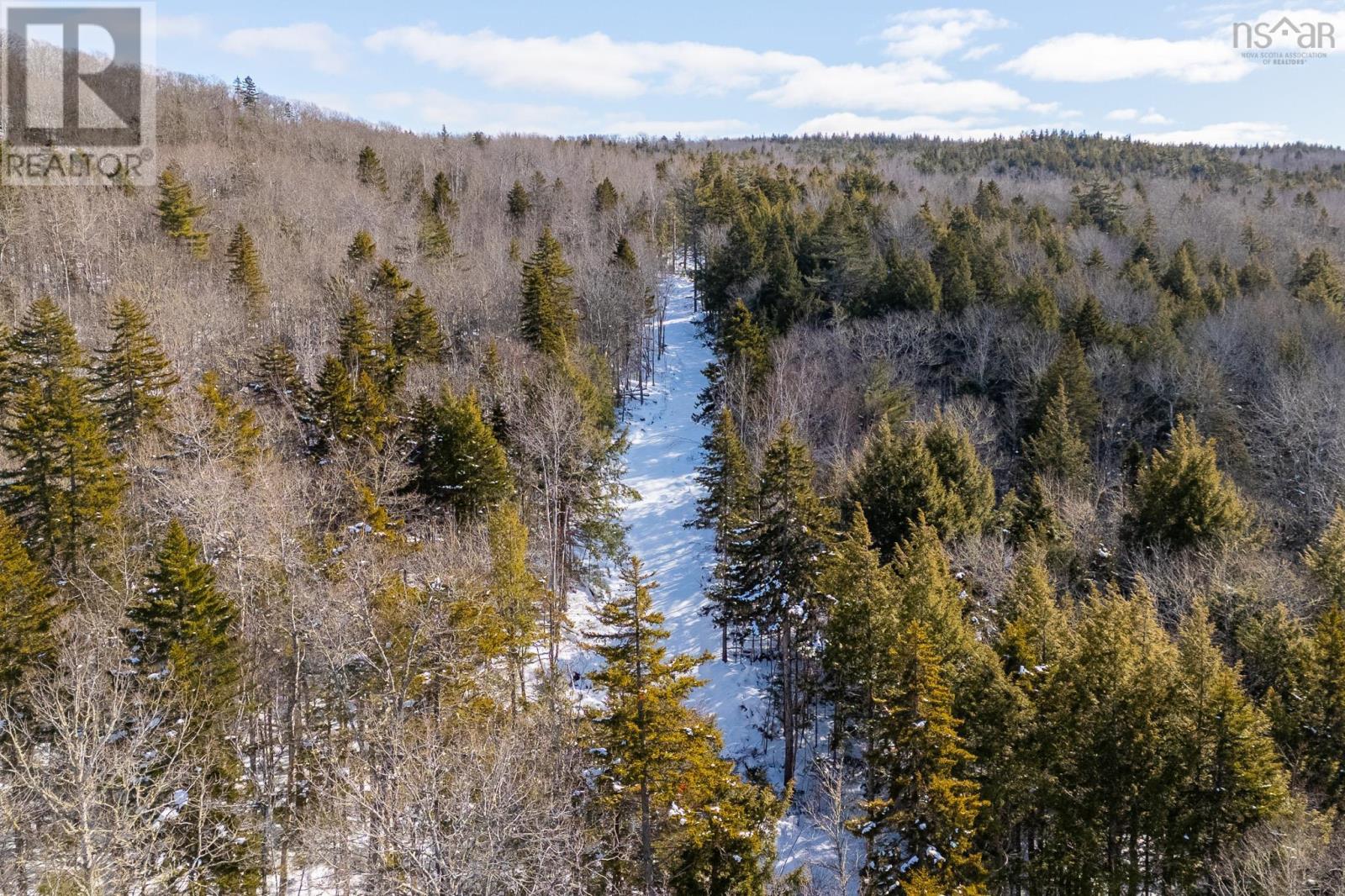 Highway 14 Highway, Mill Section, Nova Scotia  B0N 0B9 - Photo 29 - 202603150