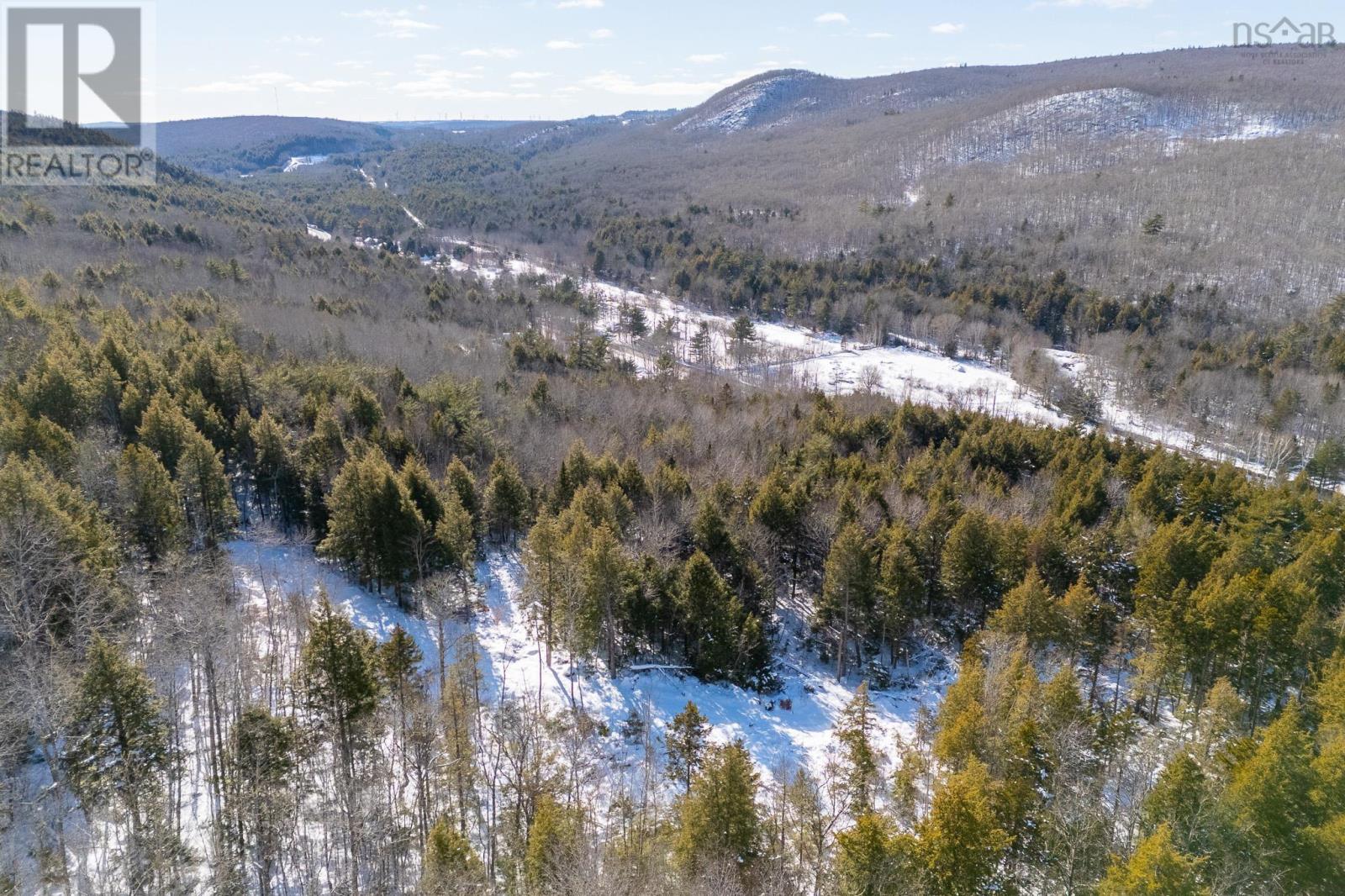 Highway 14 Highway, Mill Section, Nova Scotia  B0N 0B9 - Photo 5 - 202603150