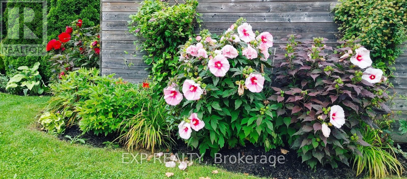 34 Taft Place, Clarington, Ontario  L1C 5M6 - Photo 25 - E12806394