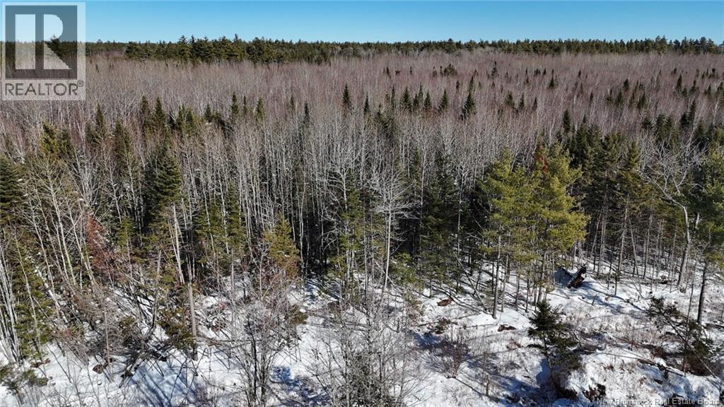 236 Mclean Road, Geary, New Brunswick  E2V 0N9 - Photo 50 - NB133797