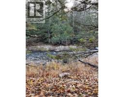 519 Route 725, Little Ridge, New Brunswick