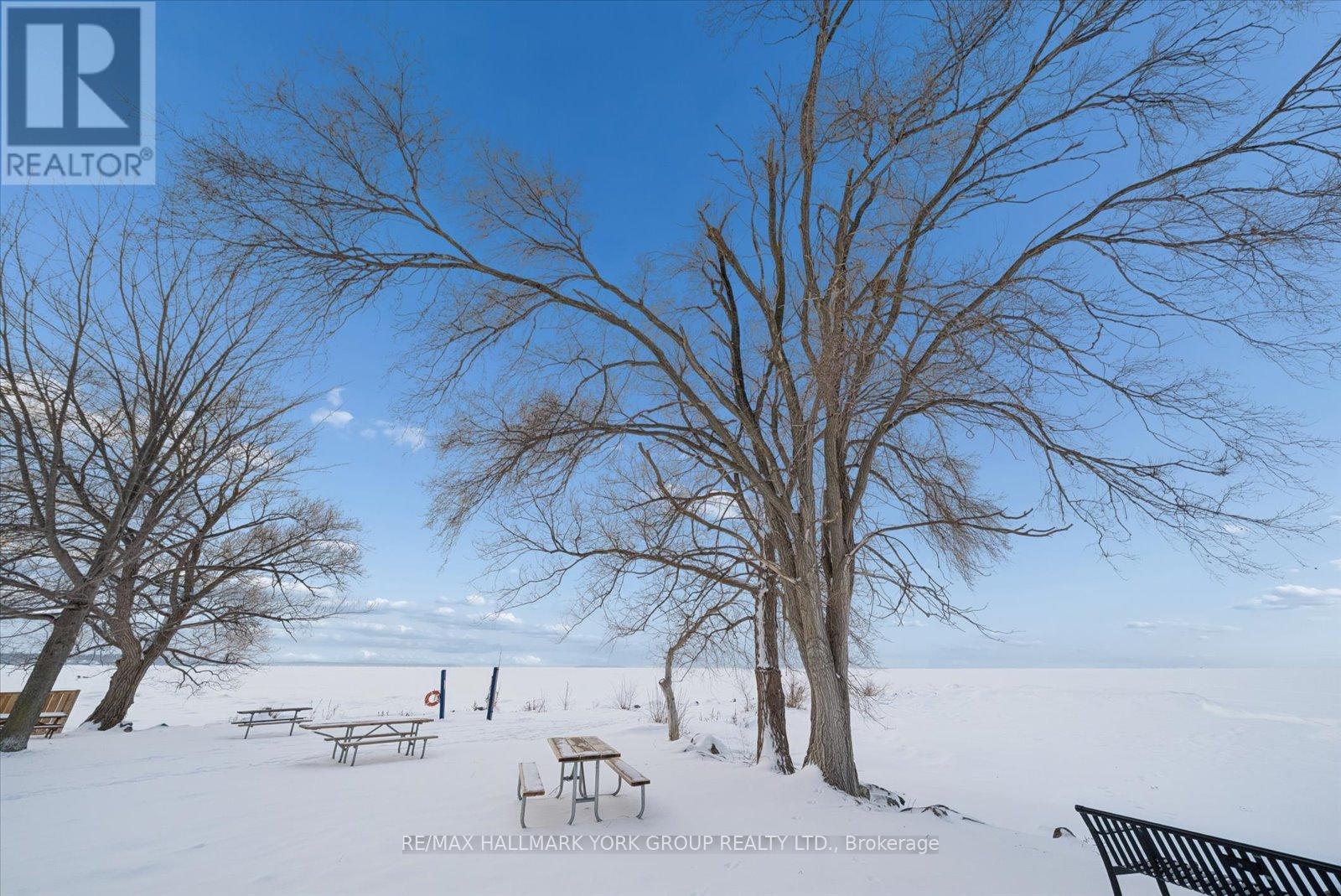 27008 Kennedy Road, Georgina, Ontario L0E 1S0 - Photo 48 - N12806740