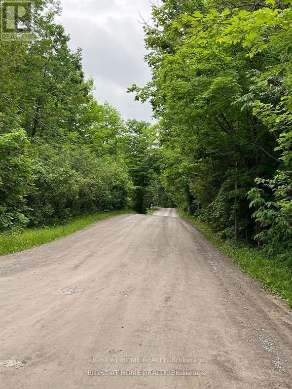 167 Spruce Lane, Trent Hills (Campbellford), Ontario  K0K 2M0 - Photo 7 - X12806602