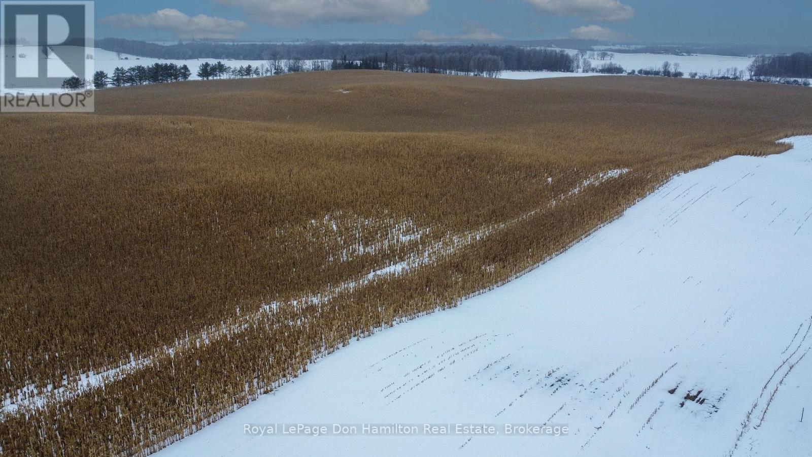 572 Concession 2 Concession, South Bruce, Ontario N0G 2J0 - Photo 15 - X12806886