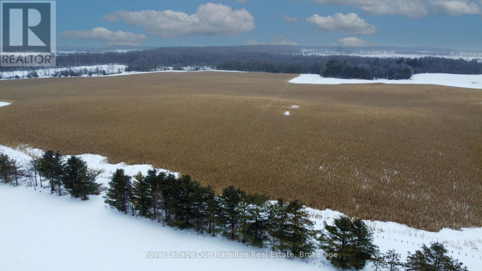 572 Concession 2 Concession, South Bruce, Ontario N0G 2J0 - Photo 7 - X12806886