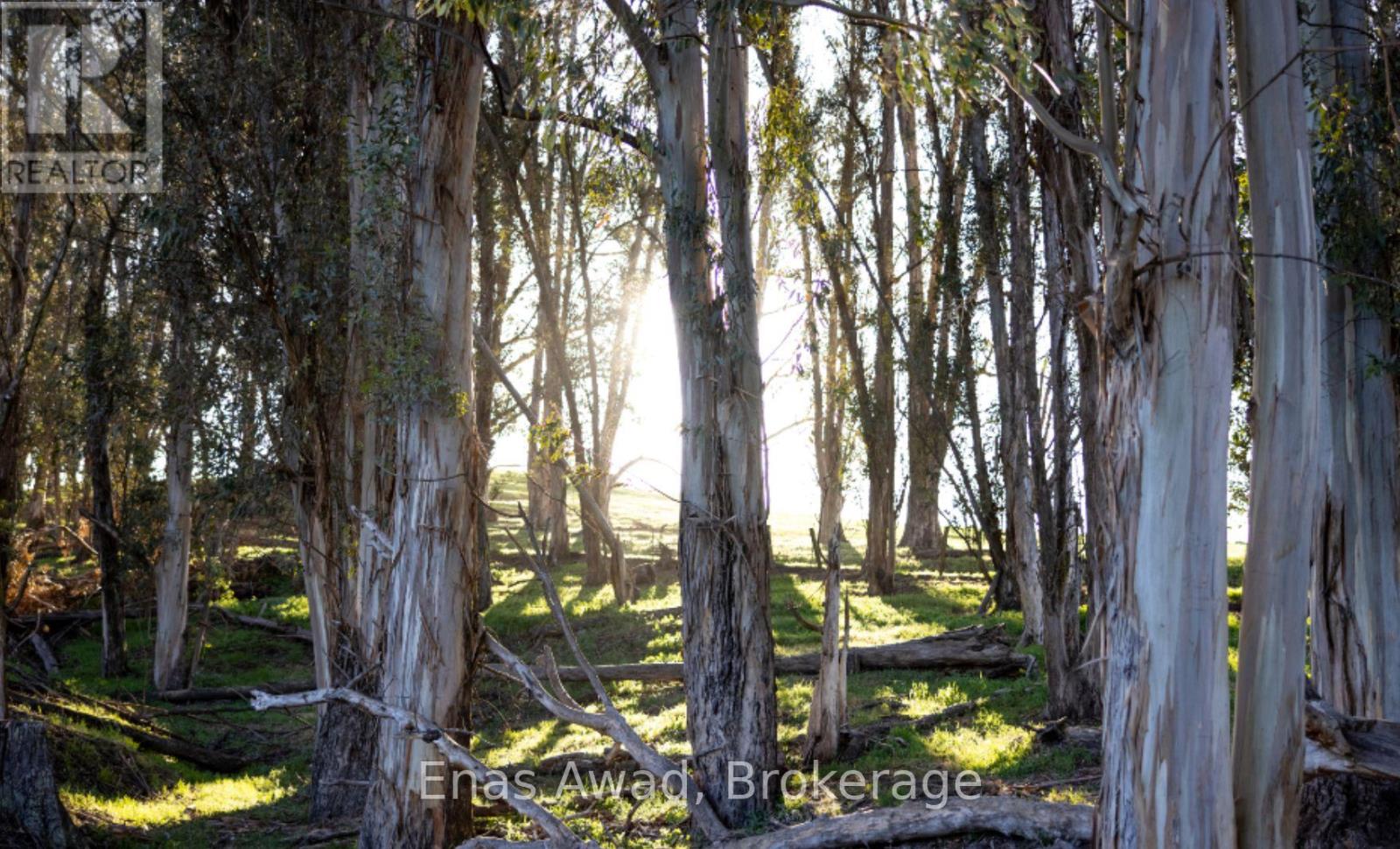 1610 19TH AVENUE, Richmond Hill, Ontario