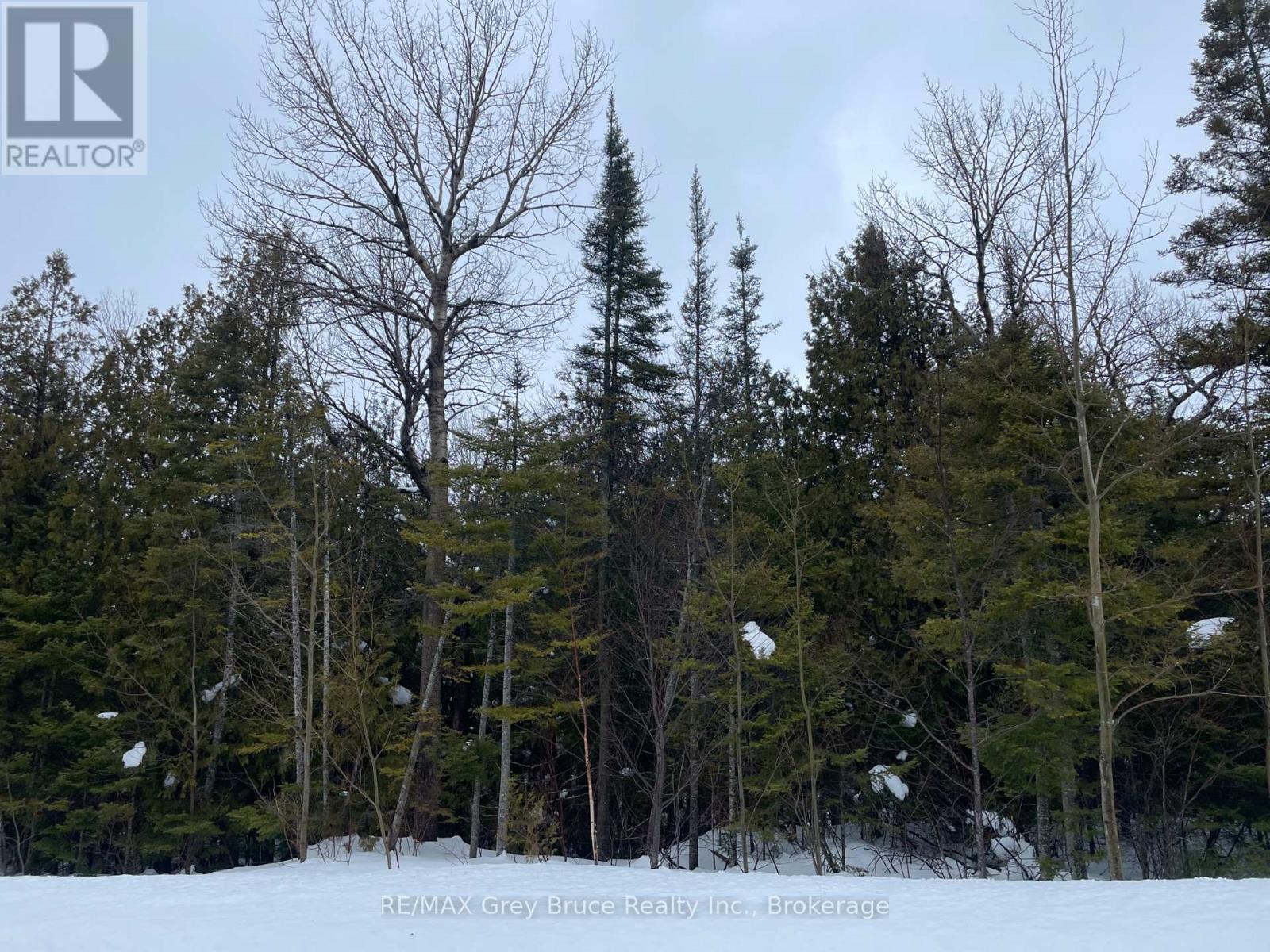 Part Farm Lot 4 Chi Sin Tib Dek Road, Northern Bruce Peninsula, Ontario  N0H 2R0 - Photo 11 - X12806974