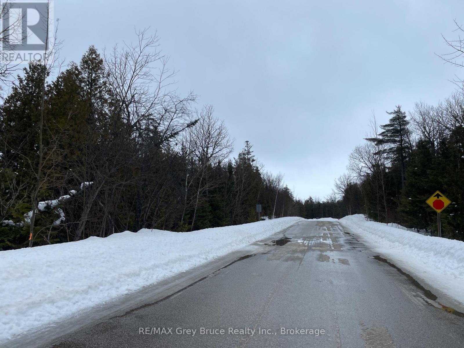 Part Farm Lot 4 Chi Sin Tib Dek Road, Northern Bruce Peninsula, Ontario  N0H 2R0 - Photo 12 - X12806974
