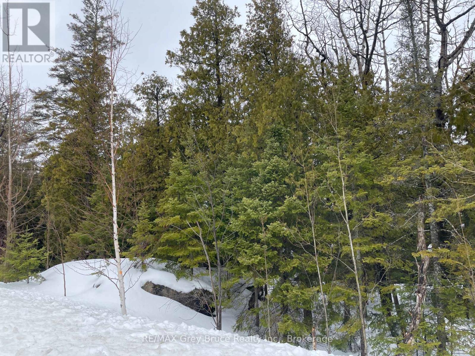 Part Farm Lot 4 Chi Sin Tib Dek Road, Northern Bruce Peninsula, Ontario  N0H 2R0 - Photo 14 - X12806974