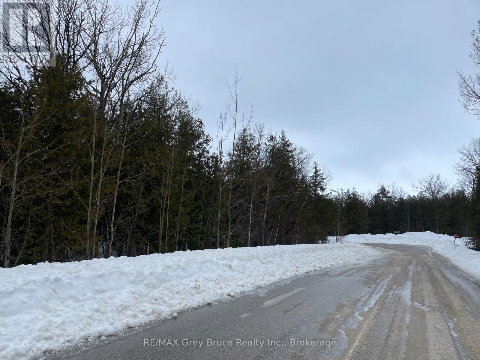 Part Farm Lot 4 Chi Sin Tib Dek Road, Northern Bruce Peninsula, Ontario  N0H 2R0 - Photo 15 - X12806974
