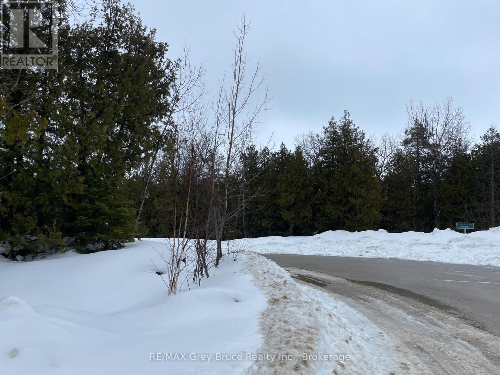 Part Farm Lot 4 Chi Sin Tib Dek Road, Northern Bruce Peninsula, Ontario  N0H 2R0 - Photo 16 - X12806974