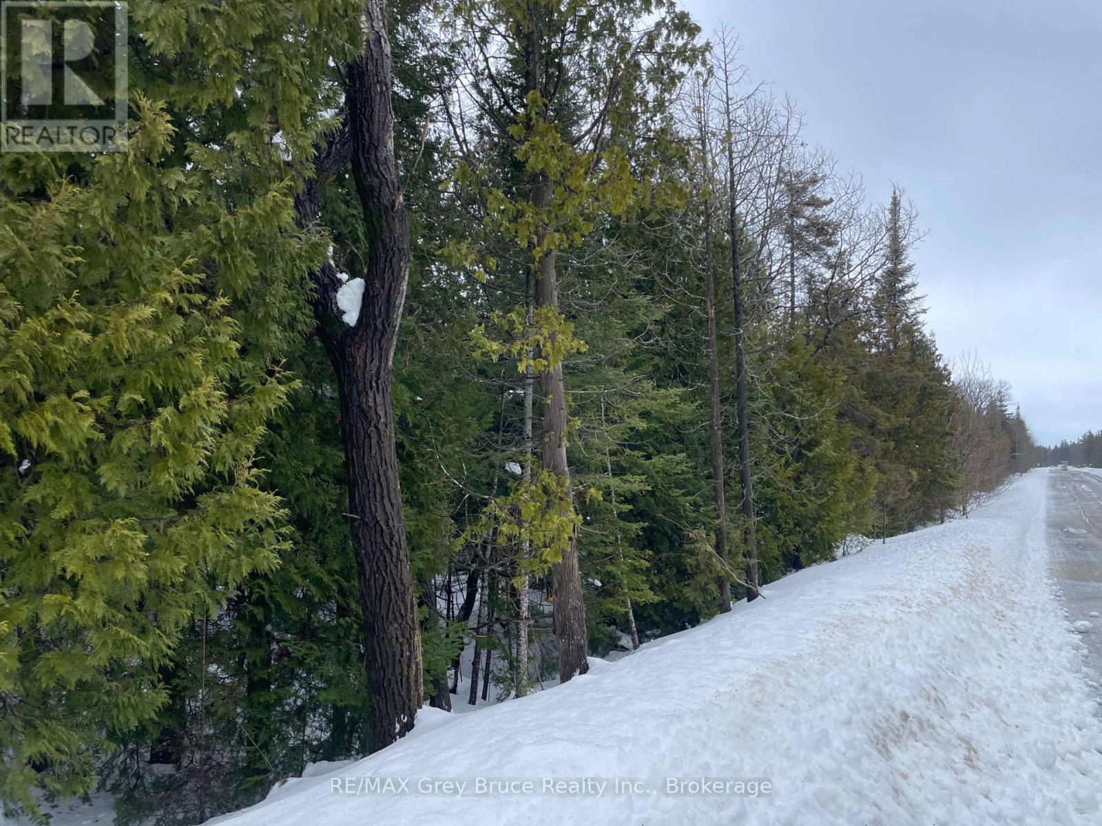 Part Farm Lot 4 Chi Sin Tib Dek Road, Northern Bruce Peninsula, Ontario  N0H 2R0 - Photo 18 - X12806974