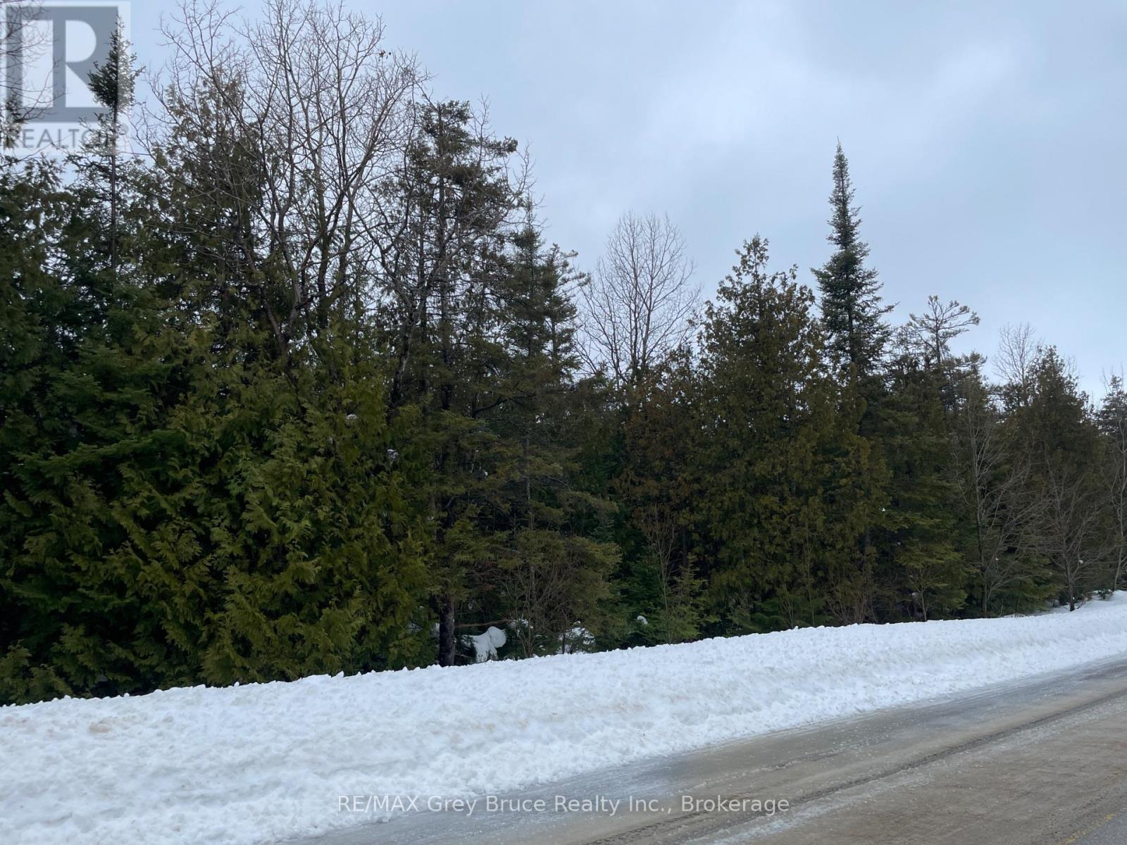 Part Farm Lot 4 Chi Sin Tib Dek Road, Northern Bruce Peninsula, Ontario  N0H 2R0 - Photo 19 - X12806974