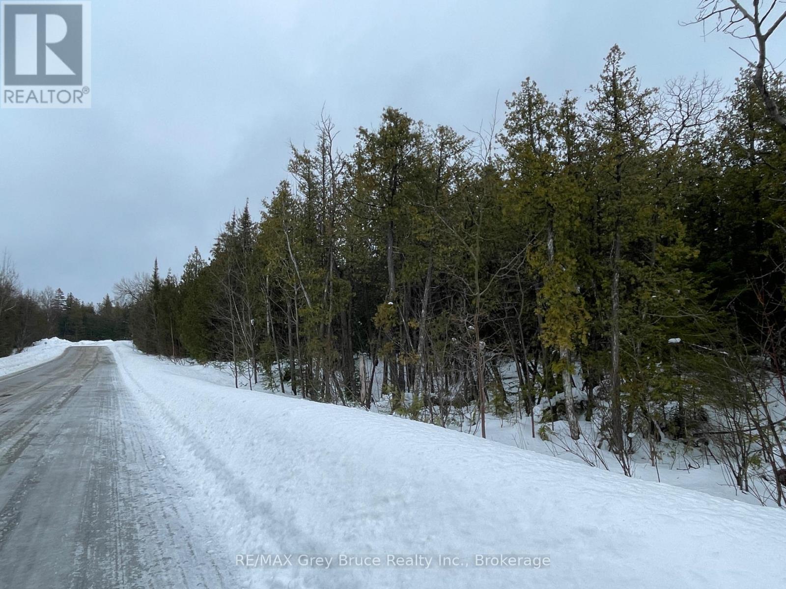 Part Farm Lot 4 Chi Sin Tib Dek Road, Northern Bruce Peninsula, Ontario  N0H 2R0 - Photo 20 - X12806974