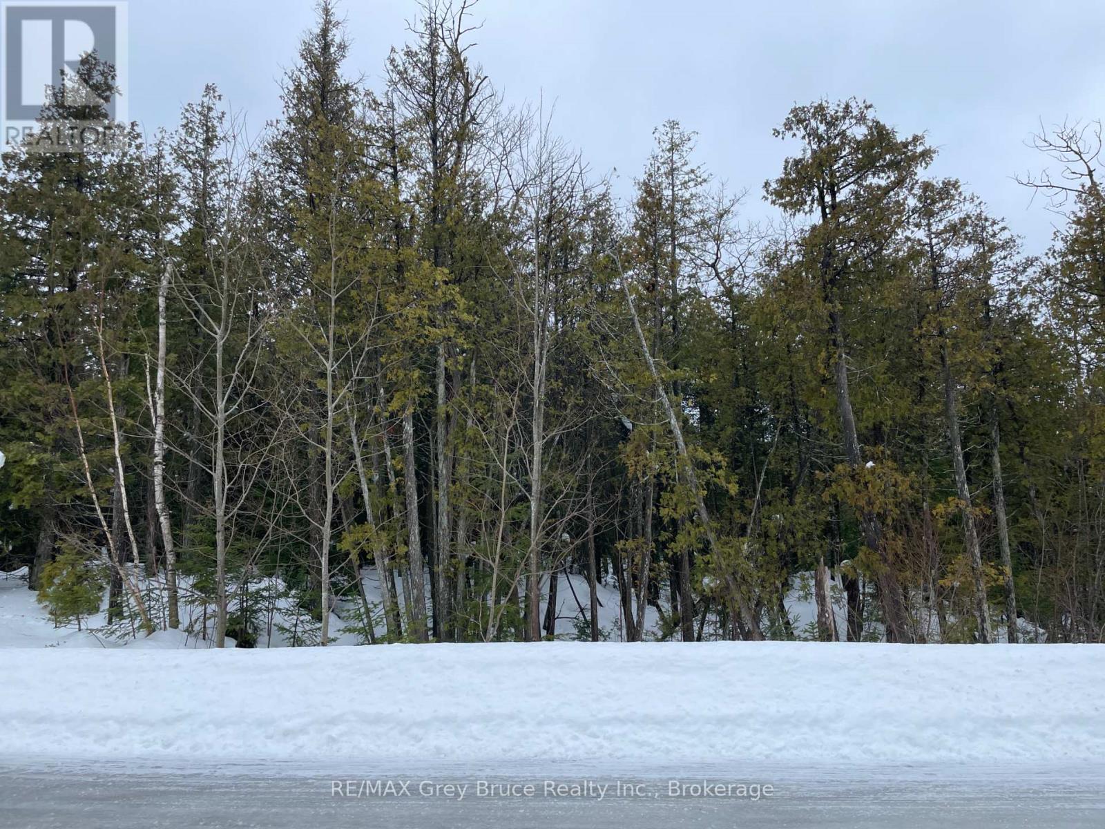 Part Farm Lot 4 Chi Sin Tib Dek Road, Northern Bruce Peninsula, Ontario  N0H 2R0 - Photo 22 - X12806974
