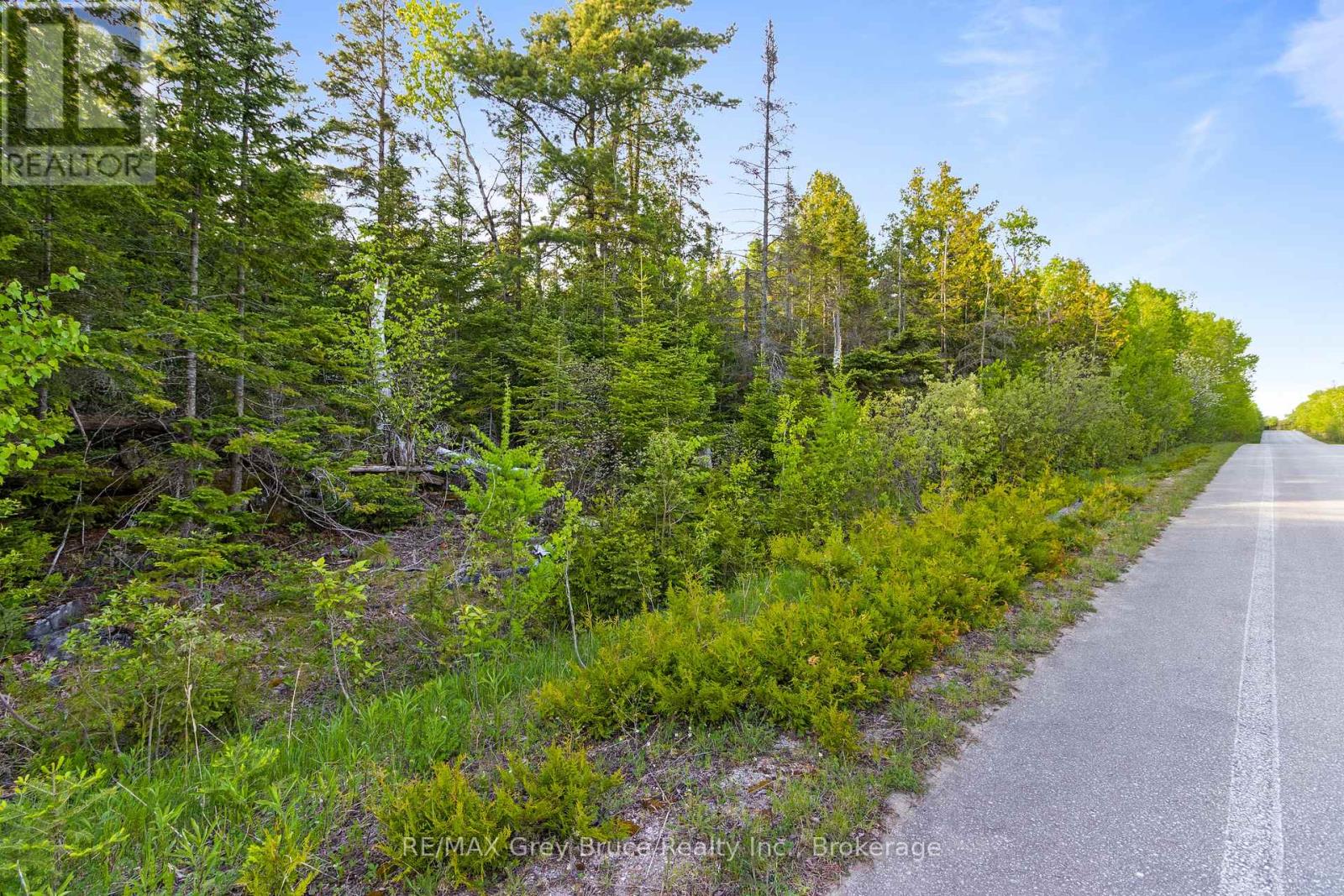 Part Farm Lot 4 Chi Sin Tib Dek Road, Northern Bruce Peninsula, Ontario  N0H 2R0 - Photo 26 - X12806974