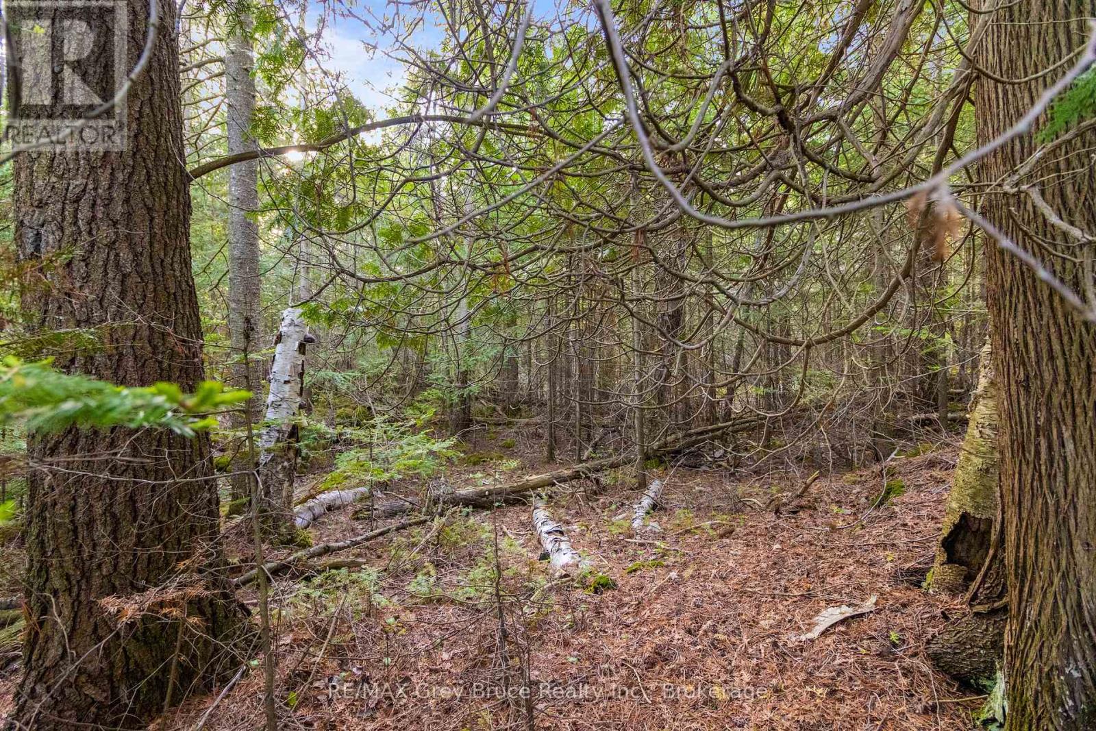 Part Farm Lot 4 Chi Sin Tib Dek Road, Northern Bruce Peninsula, Ontario  N0H 2R0 - Photo 27 - X12806974