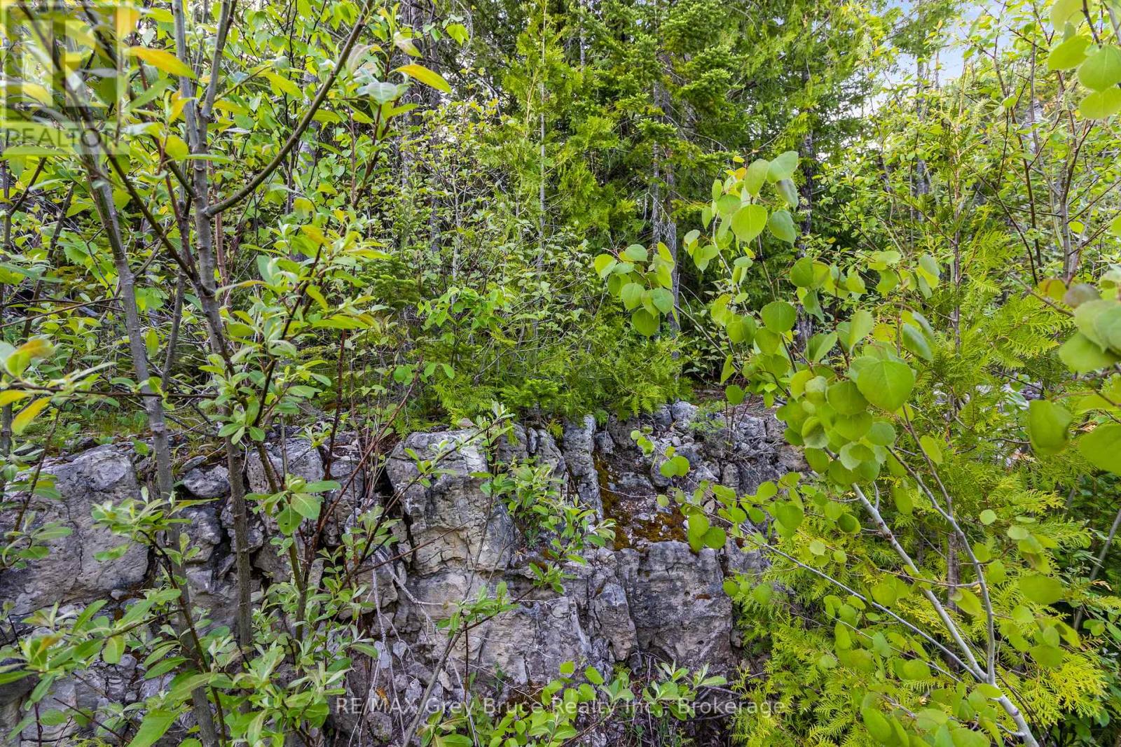 Part Farm Lot 4 Chi Sin Tib Dek Road, Northern Bruce Peninsula, Ontario  N0H 2R0 - Photo 28 - X12806974