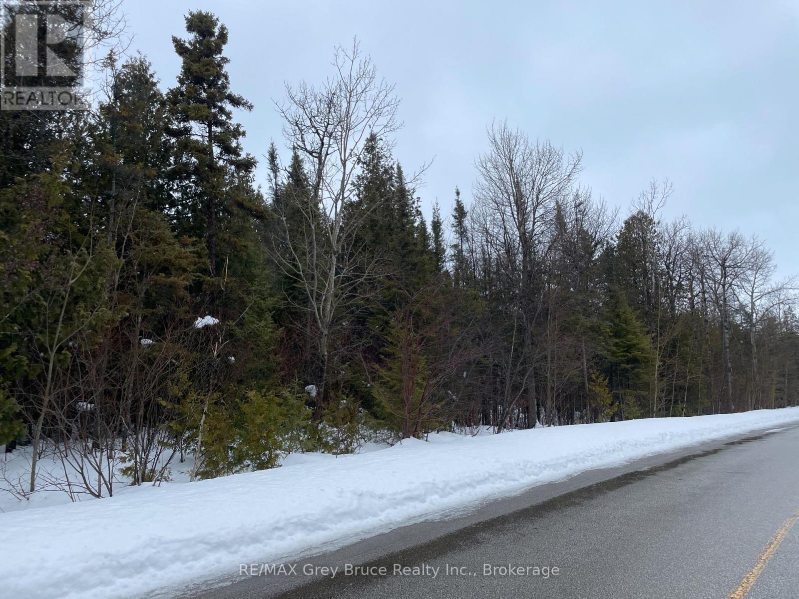 Part Farm Lot 4 Chi Sin Tib Dek Road, Northern Bruce Peninsula, Ontario  N0H 2R0 - Photo 3 - X12806974