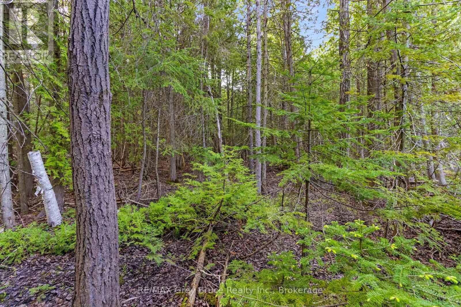 Part Farm Lot 4 Chi Sin Tib Dek Road, Northern Bruce Peninsula, Ontario  N0H 2R0 - Photo 32 - X12806974