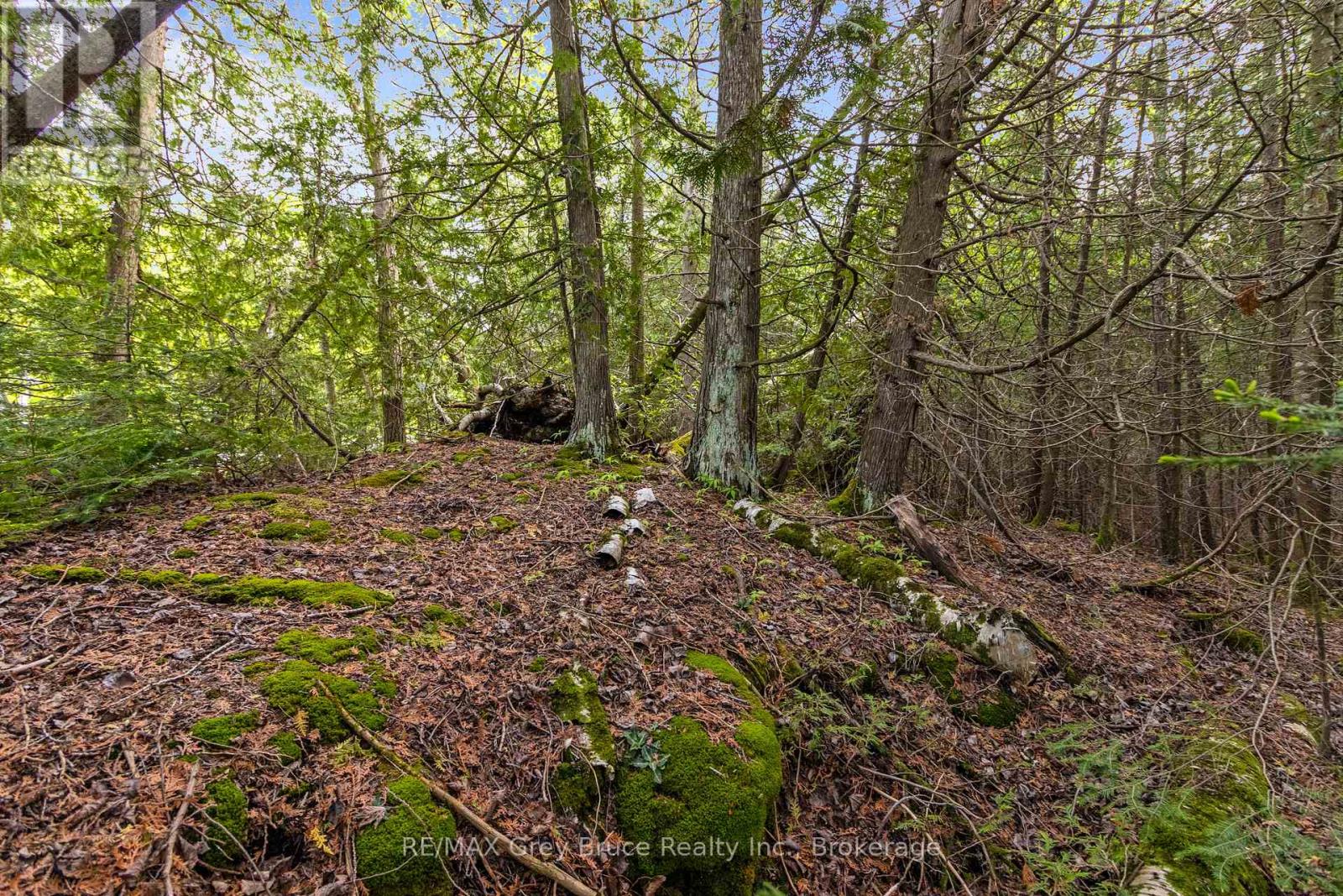 Part Farm Lot 4 Chi Sin Tib Dek Road, Northern Bruce Peninsula, Ontario  N0H 2R0 - Photo 35 - X12806974