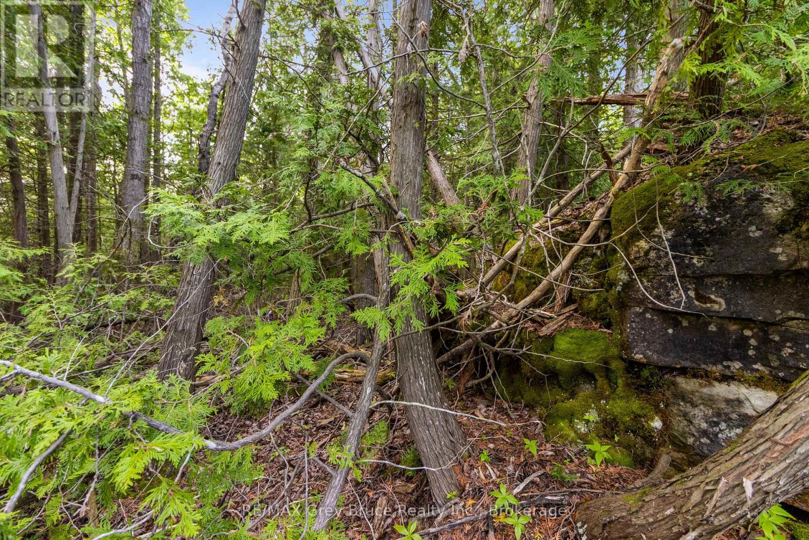 Part Farm Lot 4 Chi Sin Tib Dek Road, Northern Bruce Peninsula, Ontario  N0H 2R0 - Photo 38 - X12806974