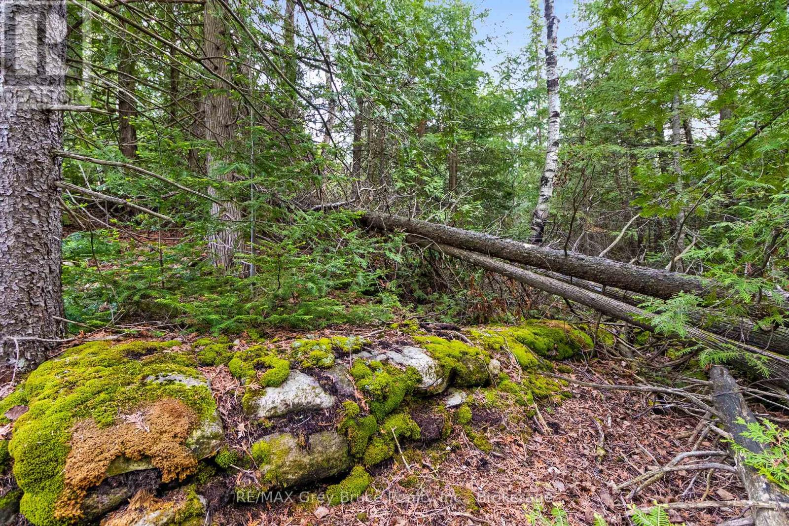 Part Farm Lot 4 Chi Sin Tib Dek Road, Northern Bruce Peninsula, Ontario  N0H 2R0 - Photo 39 - X12806974