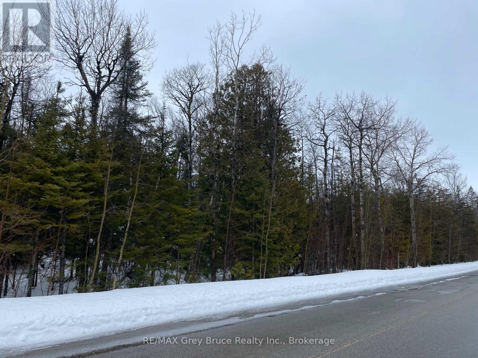 Part Farm Lot 4 Chi Sin Tib Dek Road, Northern Bruce Peninsula, Ontario  N0H 2R0 - Photo 4 - X12806974